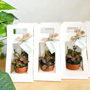 30PCS Flower Gift Packaging Boxes with Handle Durable Birthday Wedding Favors - White