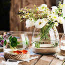 Japanese Style Small Glass Vases Fish Tank for Elegant Home Decor - L