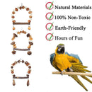 Parrot Chew Toy For Training Climbing Grinding Teeth Relief Durable Bird Toy - Pine Cones
