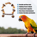 Parrot Chew Toy For Training Climbing Grinding Teeth Relief Durable Bird Toy - Pine Cones