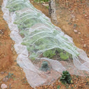 Agricultural Insect-proof Greenhouse Net for Fruit Vegetable Plant Protection - 250CMx5M