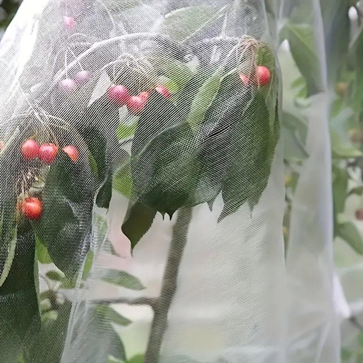 Agricultural Insect-proof Greenhouse Net for Fruit Vegetable Plant Protection - 250CMx5M