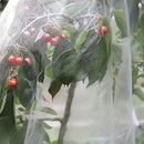 Agricultural Insect-proof Greenhouse Net for Fruit Vegetable Plant Protection - 250CMx6M