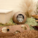Coconut Hamster Toy Supplies Equipment Nest Warm Winter Space Saving Durable