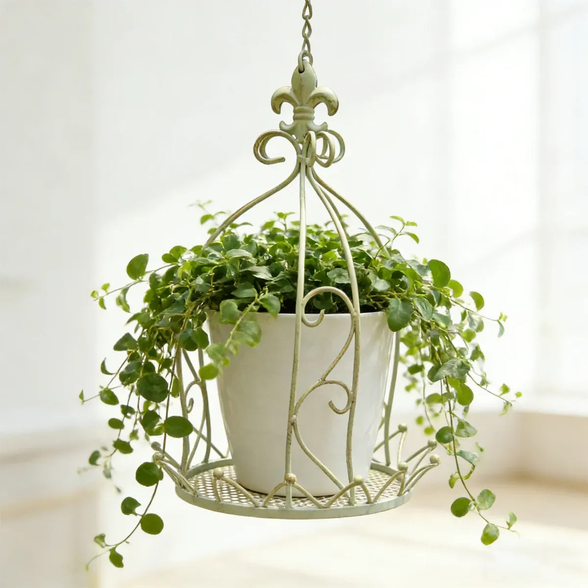 Iron Hanging Vintage Distressed Flower Basket for Garden Wall Patio Plant Use
