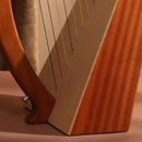 19 String Lyre Harp Professional Acoustic for Beginners Home Music Practice