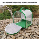 Portable Foldable Insect Cage Transparent for Outdoor Bug Collecting
