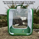Portable Foldable Insect Cage Transparent for Outdoor Bug Collecting