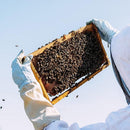 Goatskin Protective Bee Keeping and Vented Long Sleeve Beekeeping Gloves