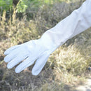Goatskin Protective Bee Keeping and Vented Long Sleeve Beekeeping Gloves
