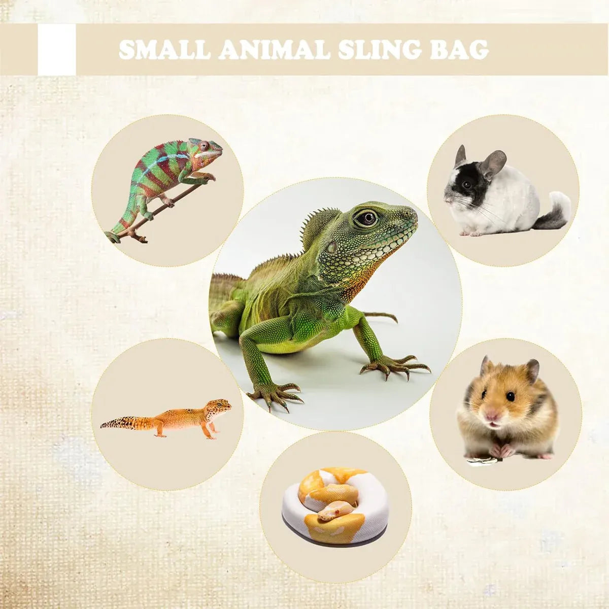 Pet Carrier Backpack Travel Bag Portable Hiking Pet Outing Bag For Small Animals