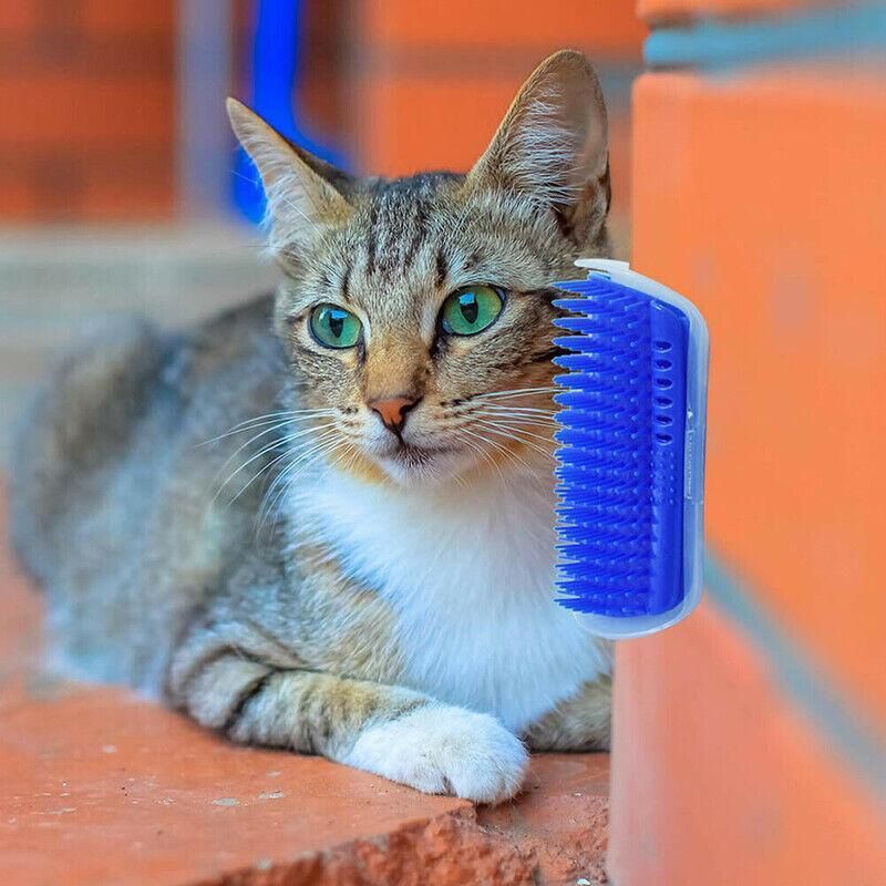 Pet Cat Self Massage Brush Comb Scratcher Wall Corner Self Groomer Grooming Toys - Pink