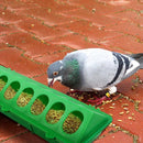 30cm Feeder Storage Trough Quail Drinker Plastic Wild Stable Chick Birds Pigeons - Red
