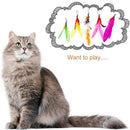 12PCS Cat Feather Teaser Wand Set Interactive Toy for Kittens and Cats Gift
