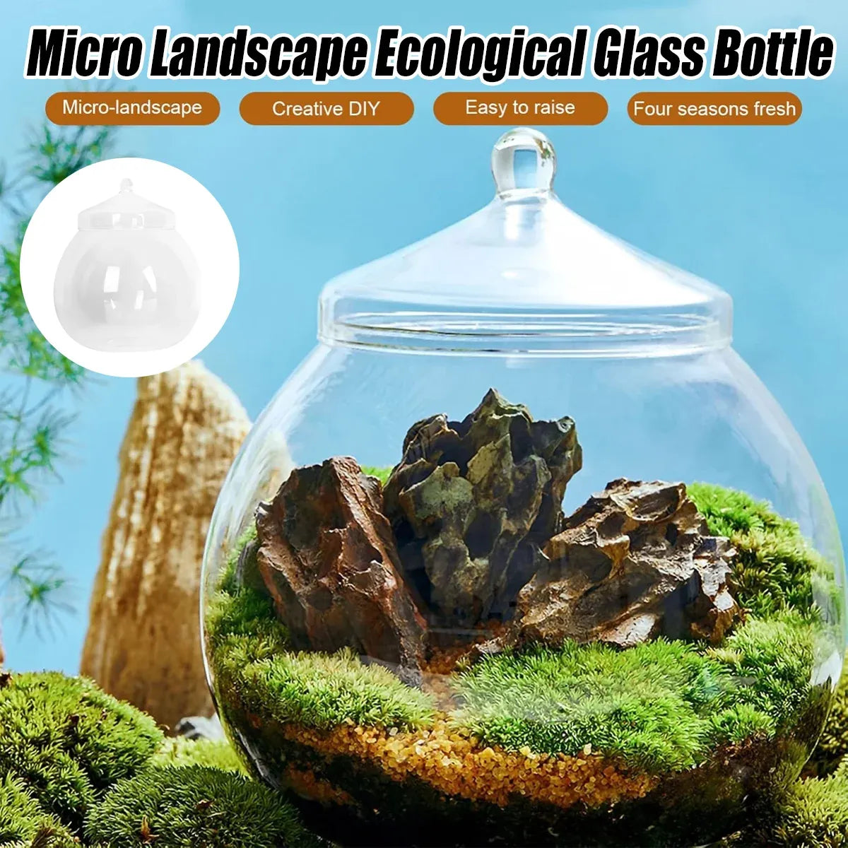 Mini Micro Landscape Eco Glass Bottle Terrarium Desktop Garden Made Nature Gift