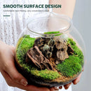 Mini Micro Landscape Eco Glass Bottle Terrarium Desktop Garden Made Nature Gift