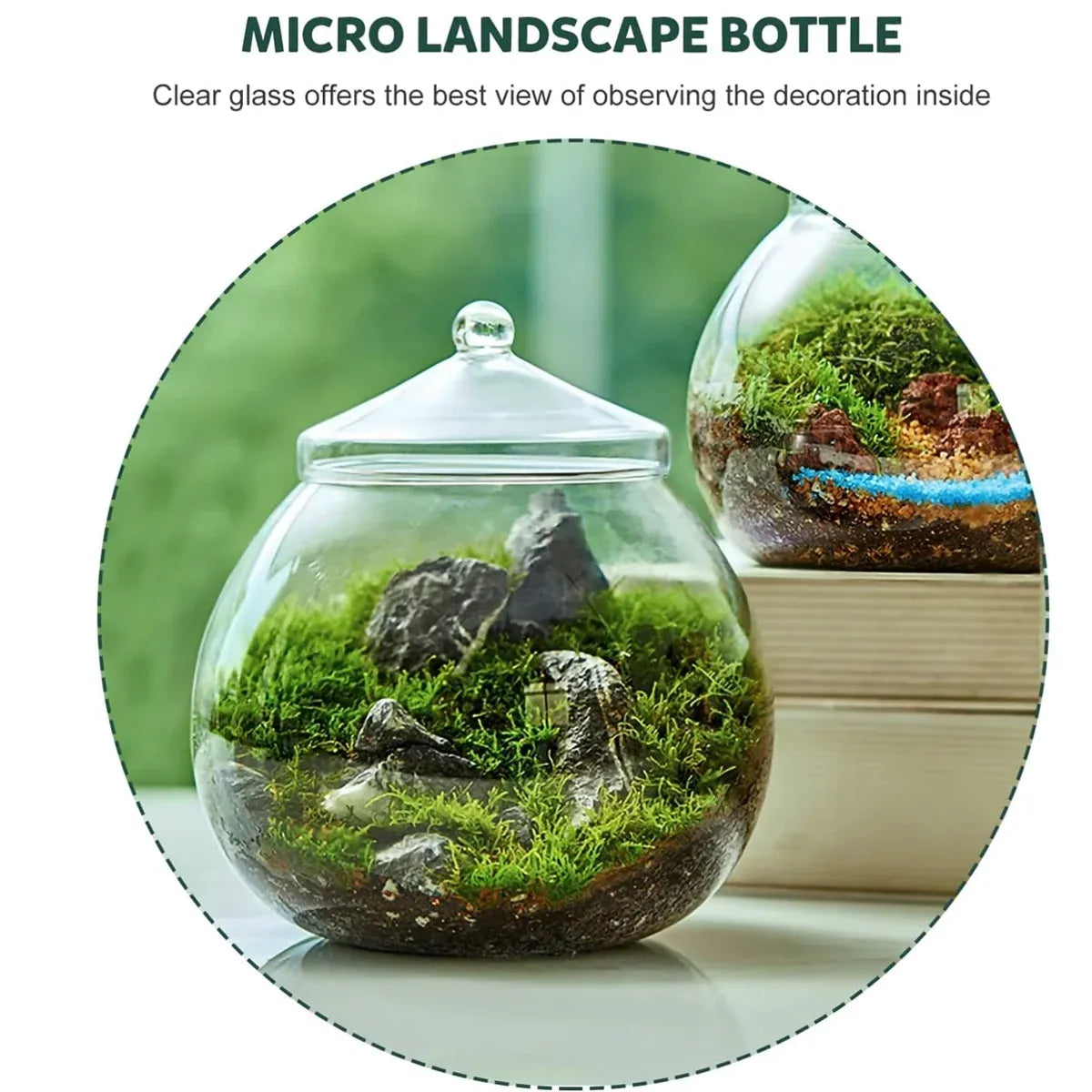 Mini Micro Landscape Eco Glass Bottle Terrarium Desktop Garden Made Nature Gift