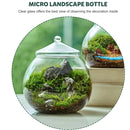 Mini Micro Landscape Eco Glass Bottle Terrarium Desktop Garden Made Nature Gift