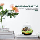 Mini Micro Landscape Eco Glass Bottle Terrarium Desktop Garden Made Nature Gift