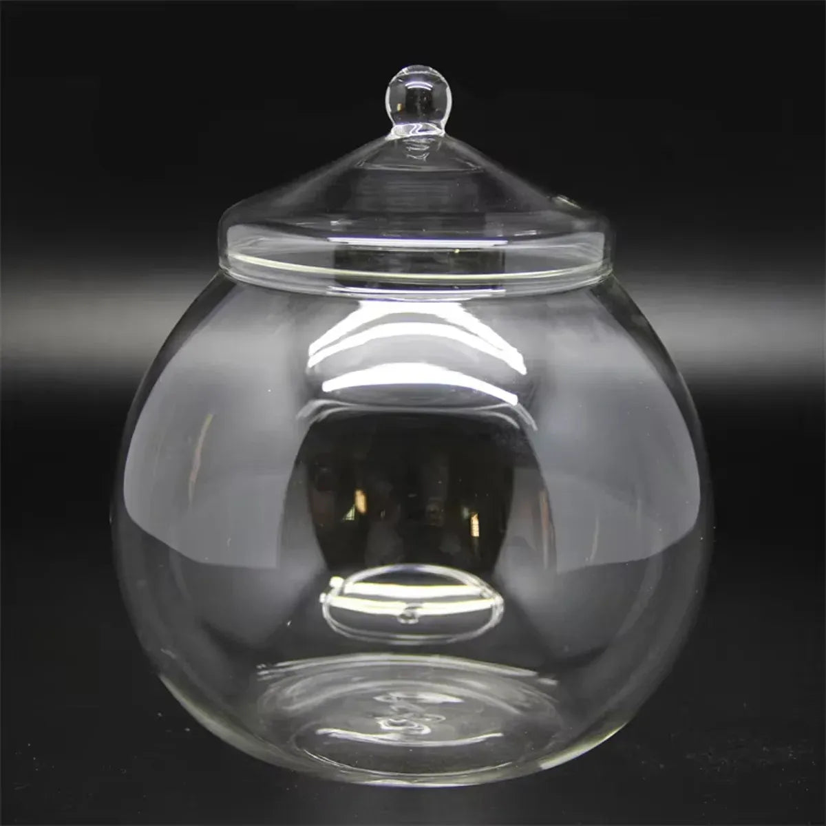 Mini Micro Landscape Eco Glass Bottle Terrarium Desktop Garden Made Nature Gift