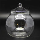 Mini Micro Landscape Eco Glass Bottle Terrarium Desktop Garden Made Nature Gift