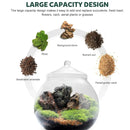 Mini Micro Landscape Eco Glass Bottle Terrarium Desktop Garden Made Nature Gift