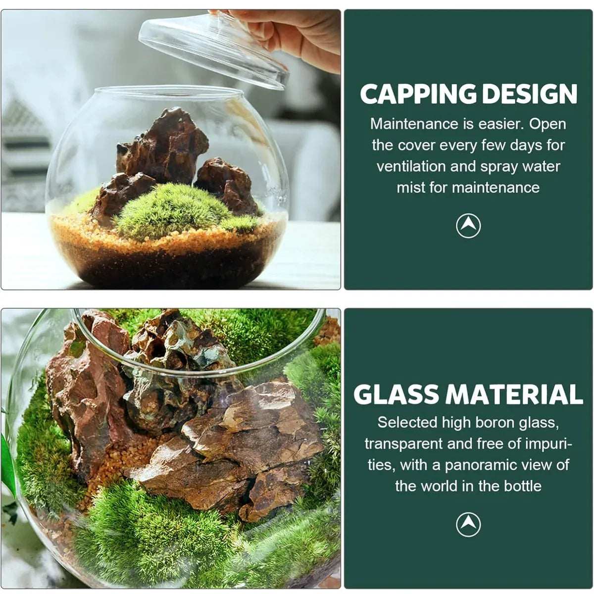 Mini Micro Landscape Eco Glass Bottle Terrarium Desktop Garden Made Nature Gift