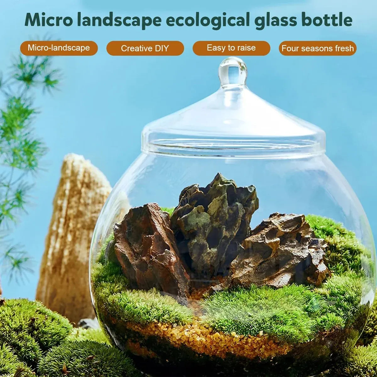 Mini Micro Landscape Eco Glass Bottle Terrarium Desktop Garden Made Nature Gift