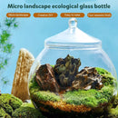 Mini Micro Landscape Eco Glass Bottle Terrarium Desktop Garden Made Nature Gift