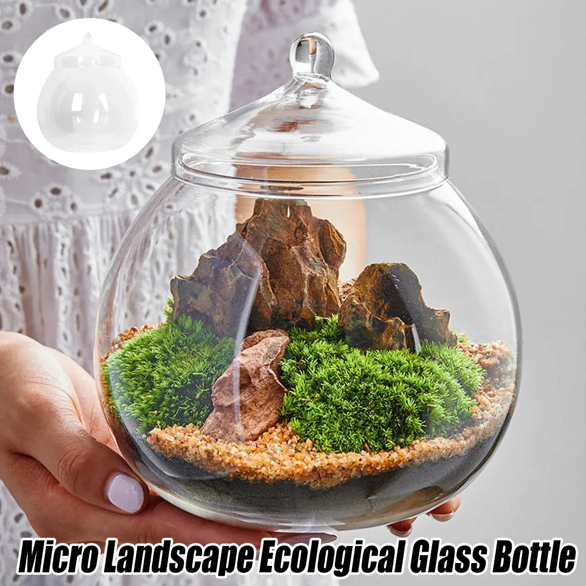 Mini Micro Landscape Eco Glass Bottle Terrarium Desktop Garden Made Nature Gift