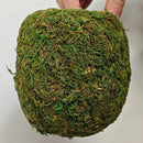 Hanging Bird Nest Moss Shelter Natural Hideout Nesting Hut Cage Decoration
