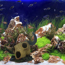 Fish Tank Crawler Climbing Pet Horror Landscape Decoration Simulation Decoration