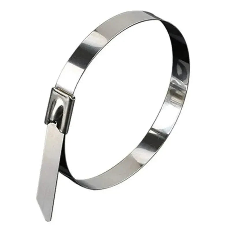 100x Stainless Steel Cable Ties SS304 Marine Grade Zip Strap Locking Wrap 100-800mm - 7.9*800mm