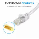 Fast Ethernet Network Cable CAT6 1000Mbps Internet RJ45 1 2 3 10 15 20 30 50m - 20M
