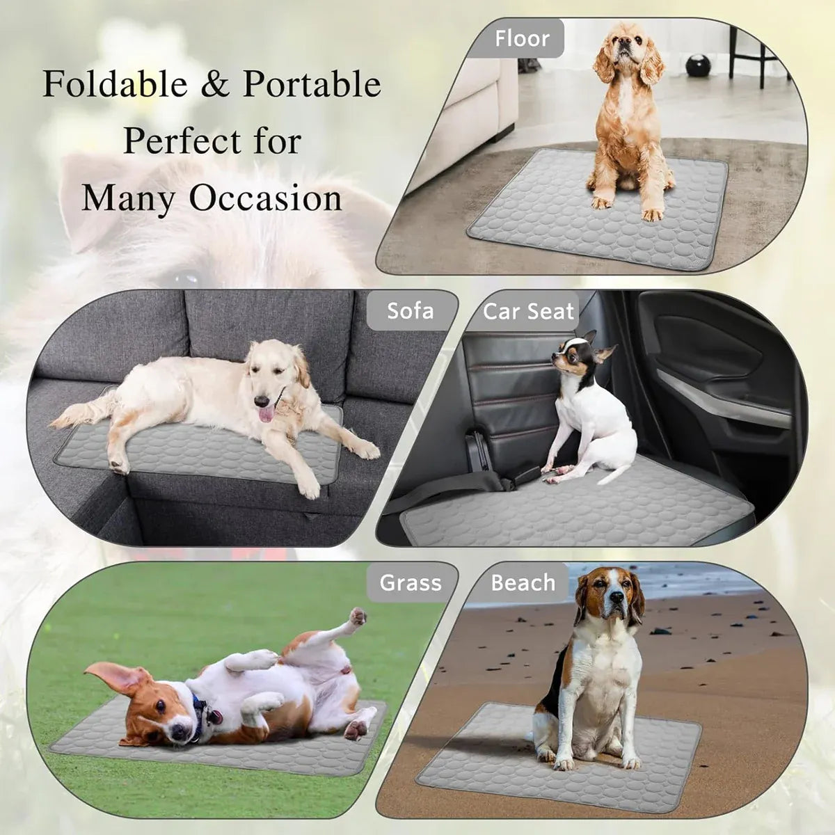 Pet  Sleeping Mat Summer Spring Mat for Dog and Cat Indoor Use - XL