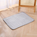 Pet  Sleeping Mat Summer Spring Mat for Dog and Cat Indoor Use - XL