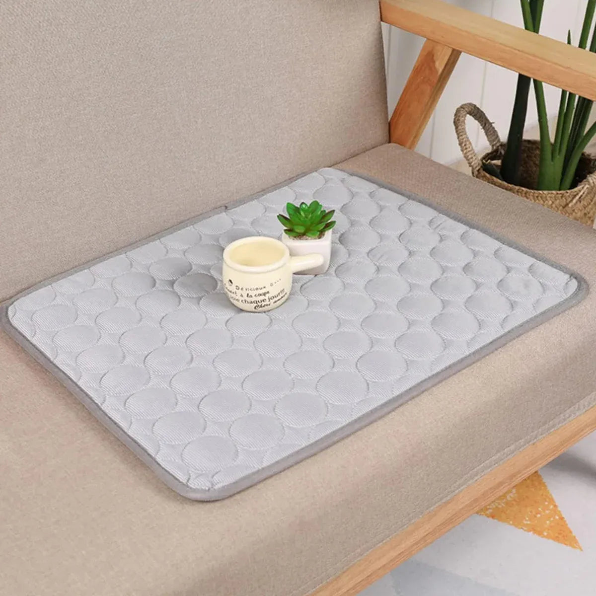 Pet  Sleeping Mat Summer Spring Mat for Dog and Cat Indoor Use - XL
