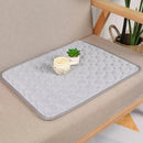 Pet  Sleeping Mat Summer Spring Mat for Dog and Cat Indoor Use - XL
