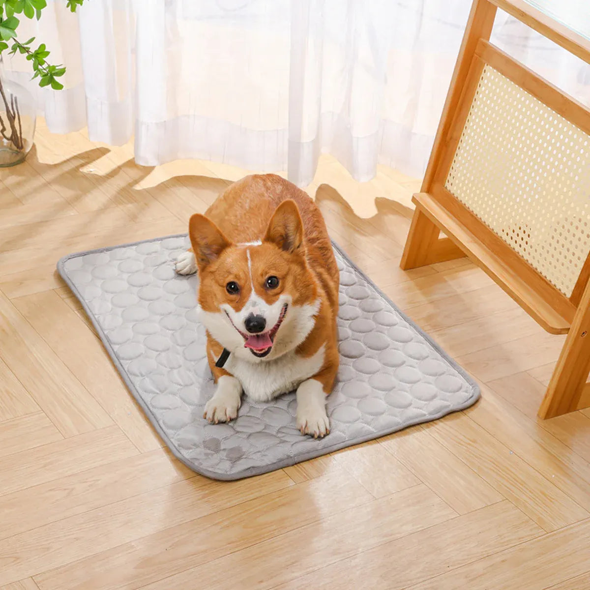 Pet  Sleeping Mat Summer Spring Mat for Dog and Cat Indoor Use - XL