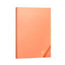 A4 80gsm Coloured Paper Multi Color Pack Printer Paper for Craft School Use - Pink