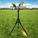 1-Piece Height-Adjustable Bird Perch Stand with Tripod Base