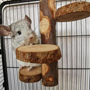 Parrot Stand Squirrel Training Swing Pet Stand Toy Small Pet Exercise Play