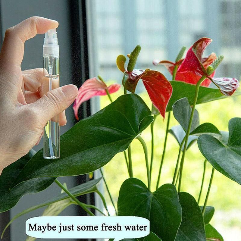 10Pcs Glass Perfume Bottles - 3/5/10ml with Atomizer Pump Spray - 3ML 10PCS