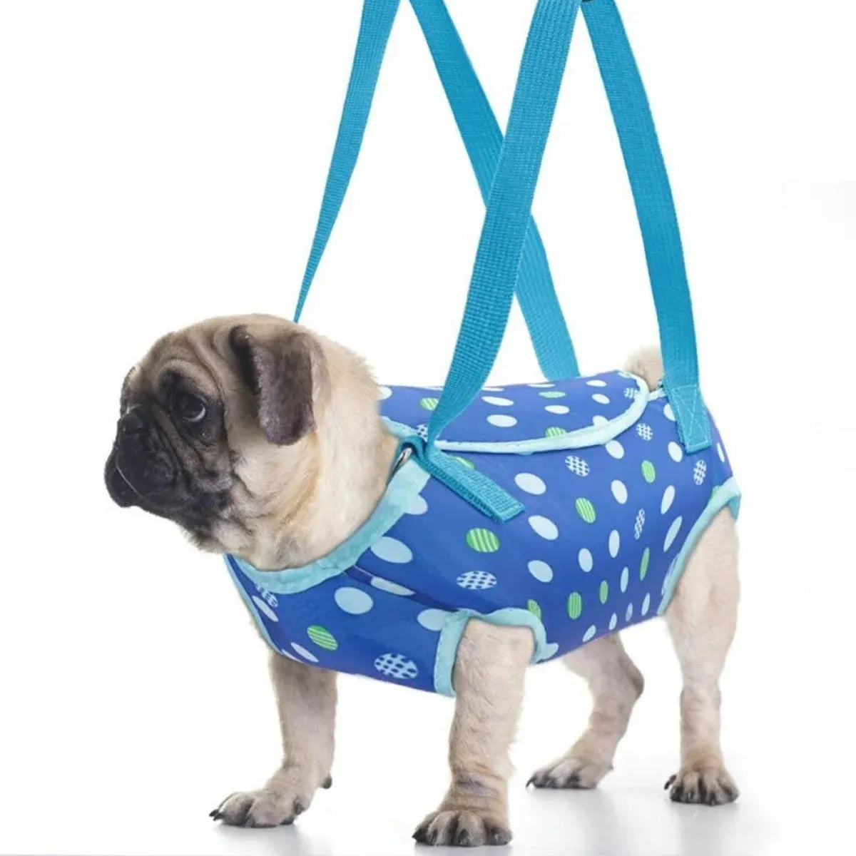 Pet Portable Travel Backpack Dog Four-Legged Carrier Crossbody Bag Durable - XL