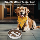 Large Capacity Stainless Steel Pet Slow Feeder Bowl Non-Slip Anti-Spill Durable