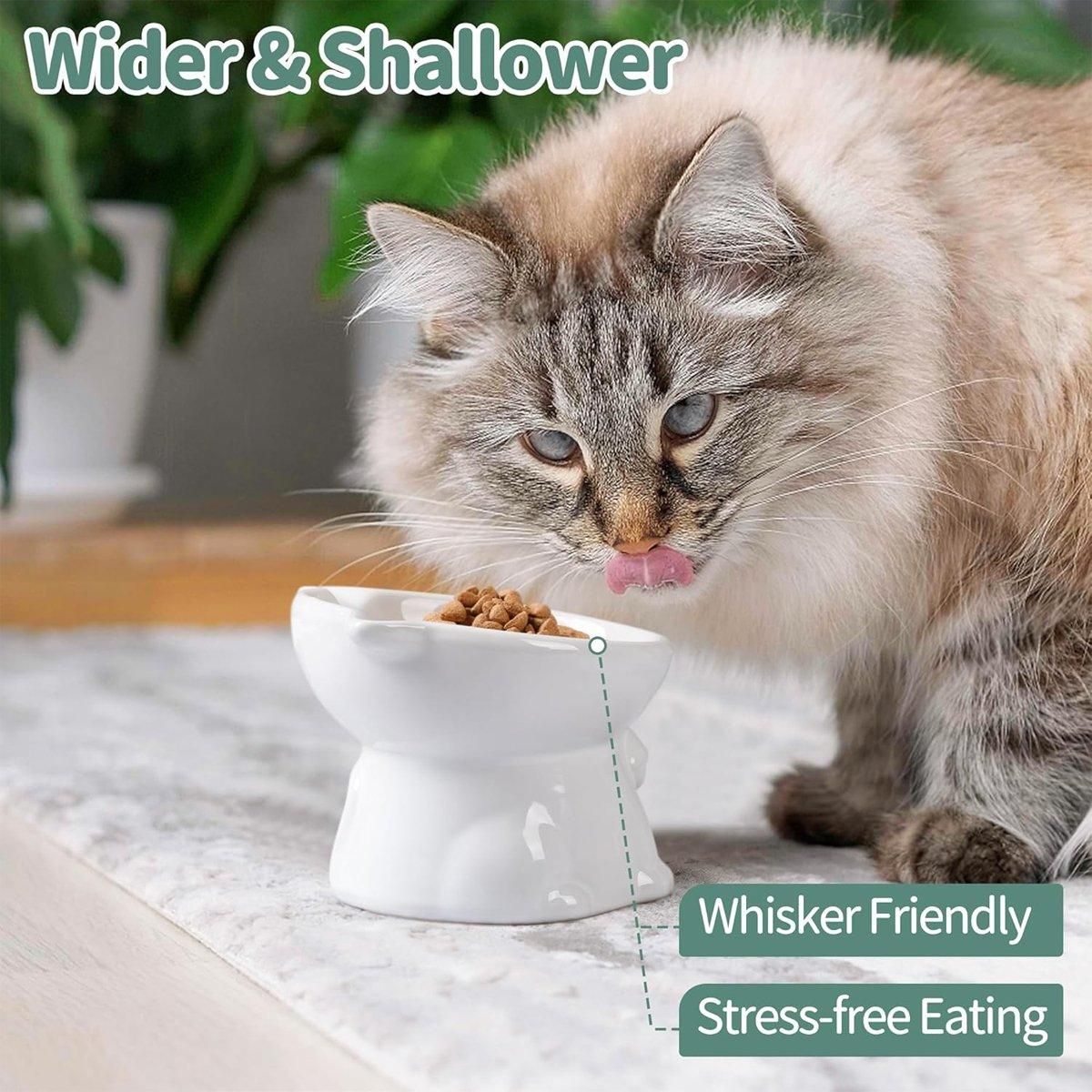 Ceramic Cat Bowl Cute Tall Raised Cat Food Bowl for Pets Eating Comfortably - Black