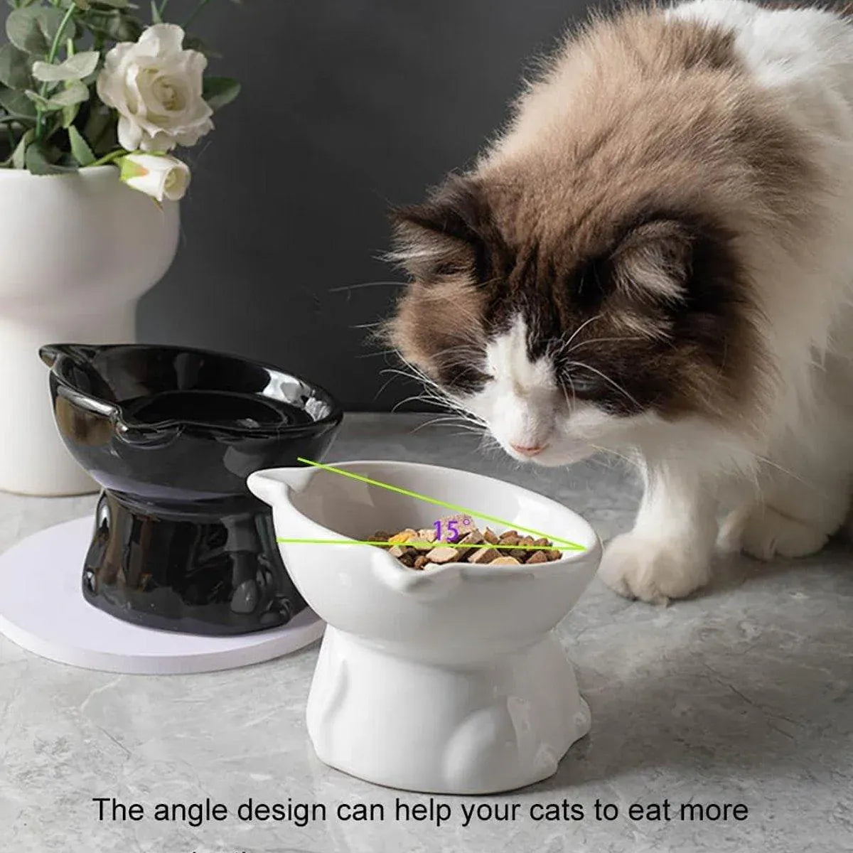Ceramic Cat Bowl Cute Tall Raised Cat Food Bowl for Pets Eating Comfortably - Black