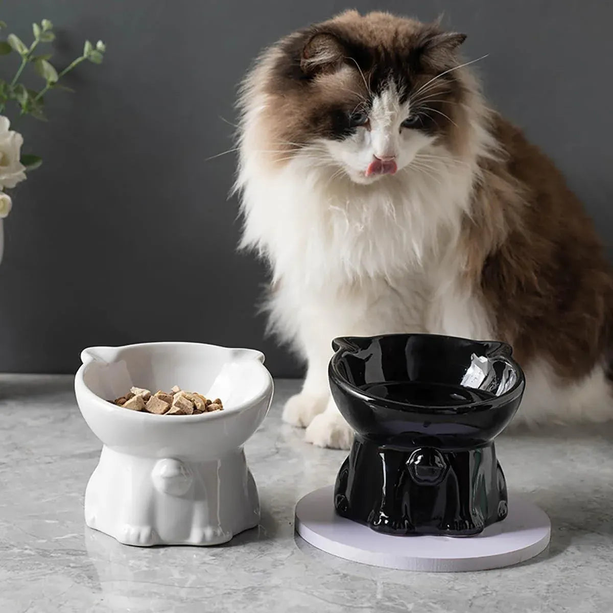 Ceramic Cat Bowl Cute Tall Raised Cat Food Bowl for Pets Eating Comfortably - Pink