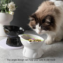 Ceramic Cat Bowl Cute Tall Raised Cat Food Bowl for Pets Eating Comfortably - White