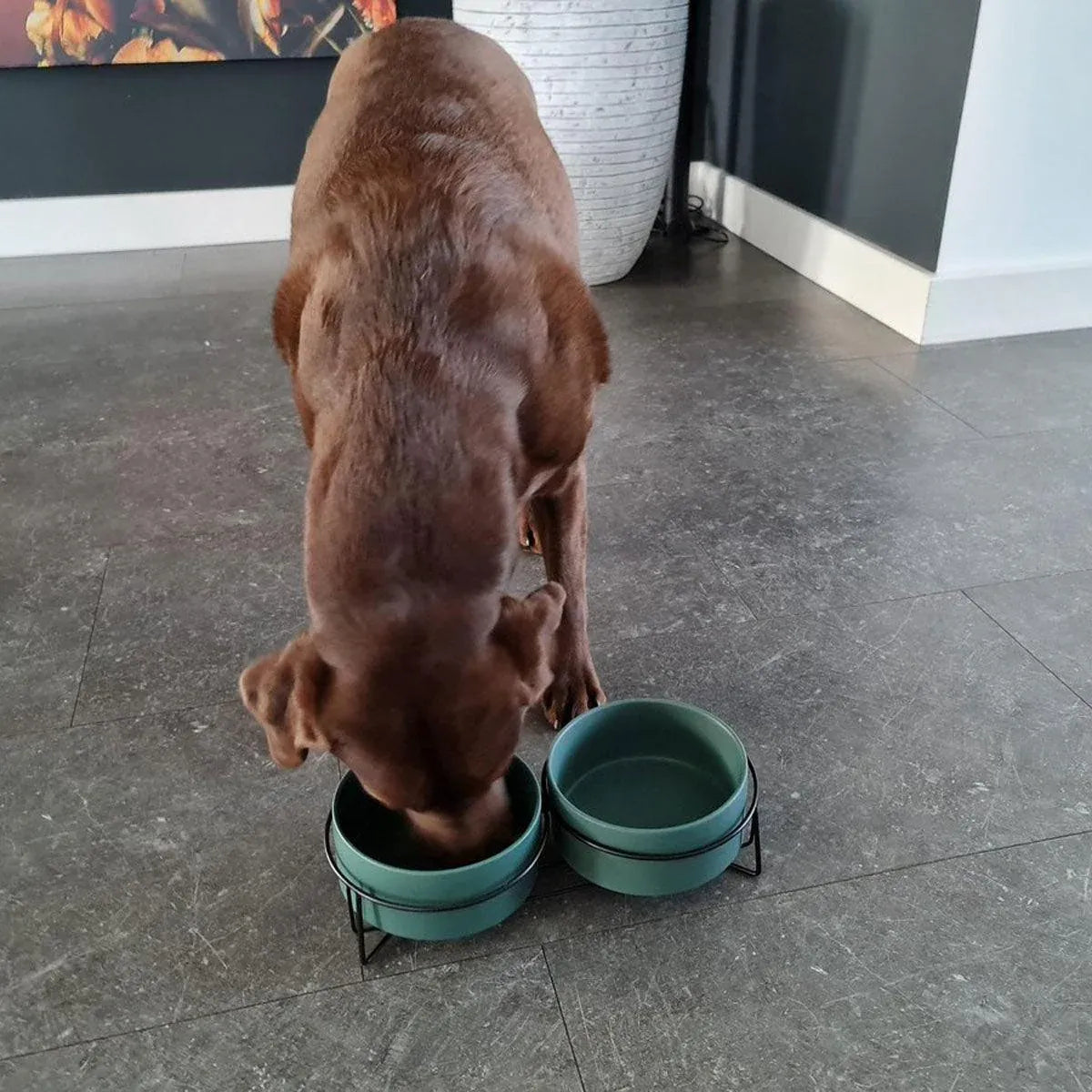 Ceramic Pet Bowl Cat Food Bowl Dog Bowl Drinking Bowl Pet Water Food Dish - Green